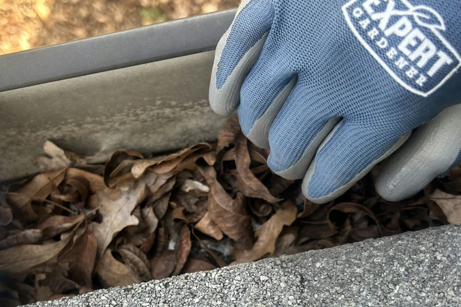 Gutter Cleaning Stringtown